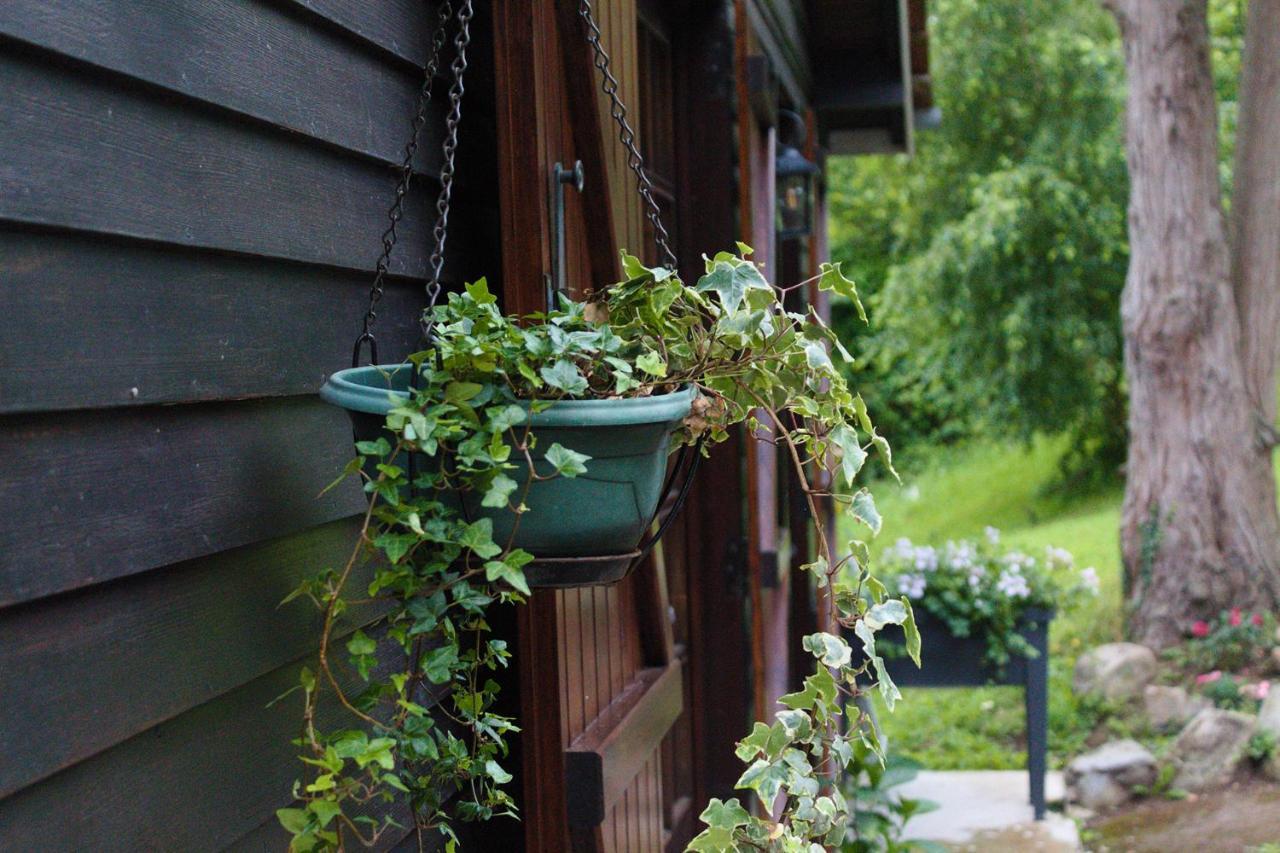 Chalet Des Sept Pins Villa Marles-sur-Canche Eksteriør bilde